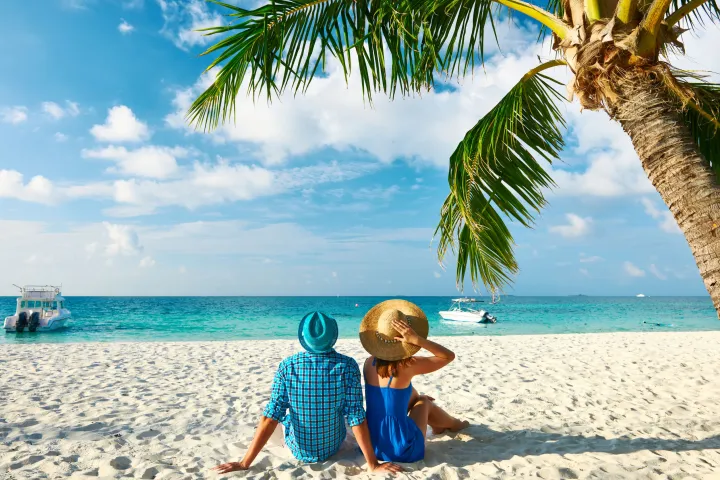 a group of people on a beach with a palm tree