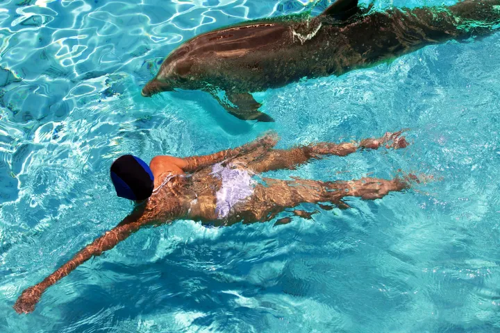 a bird swimming in a pool of water