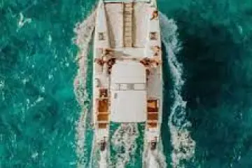 a close up of a piece of paper