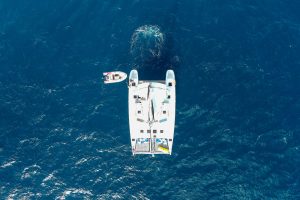 Birdseye view of Seas the Day Charters USVI 50' Catamaran