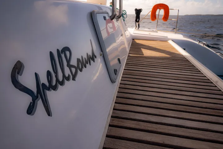 Close up of the aft-walkway on Seas the Day Charters USVI 50' catamaran