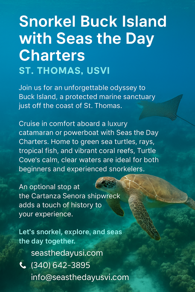 Snorkeling Excursion, Buck Island, St. Thomas USVI